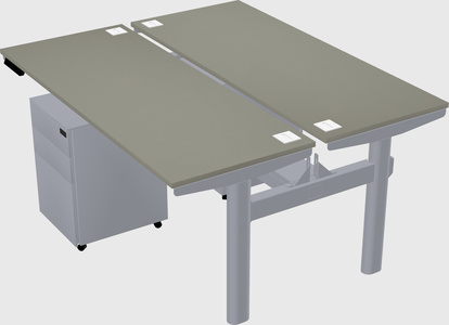Shared electric desk