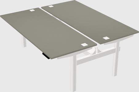 Shared electric desk