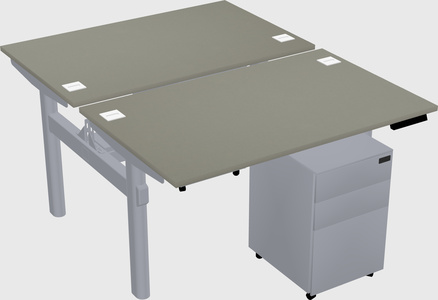 Shared electric desk