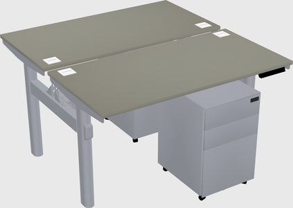 Shared electric desk