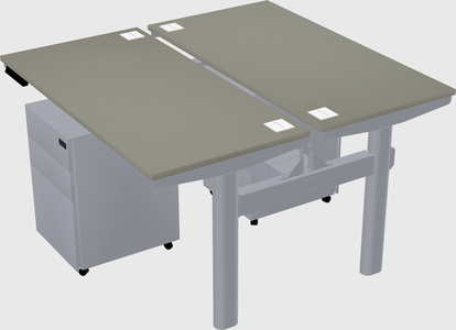 Shared electric desk