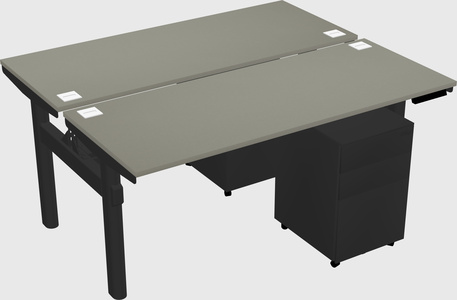 Shared electric desk