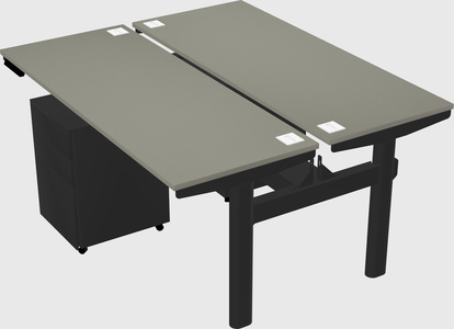 Shared electric desk