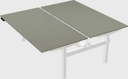 Shared electric desk