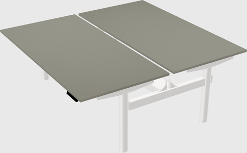 Shared electric desk
