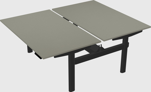 Shared electric desk