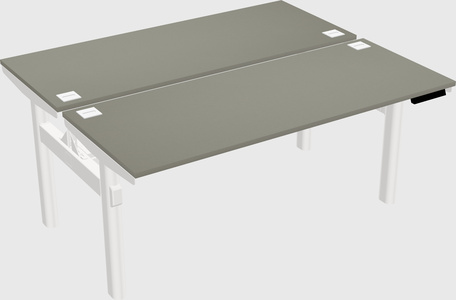 Shared electric desk