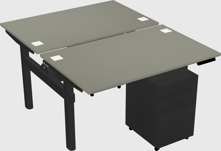 Shared electric desk