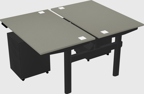 Shared electric desk