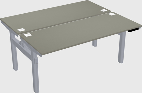 Shared electric desk