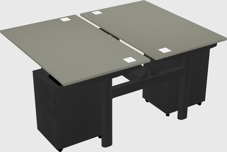 Shared electric desk