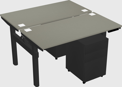 Shared electric desk