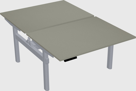 Shared electric desk
