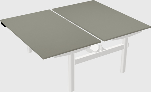 Shared electric desk