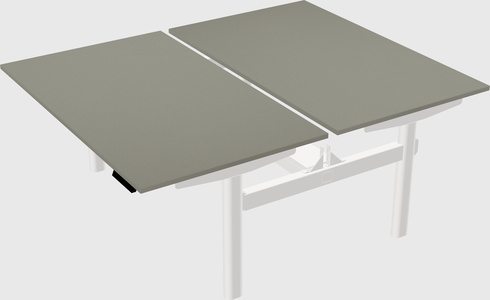 Shared electric desk