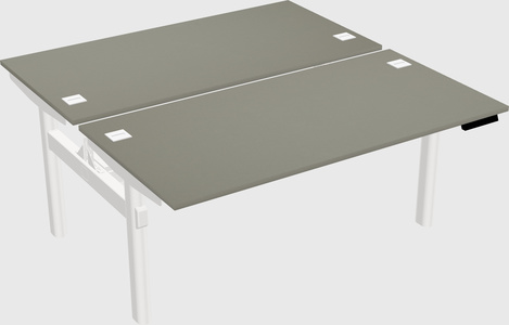 Shared electric desk