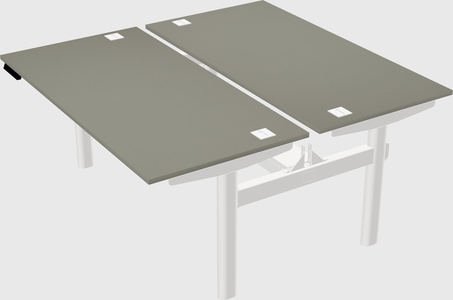 Shared electric desk