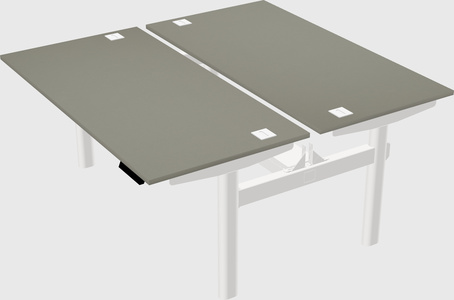 Shared electric desk