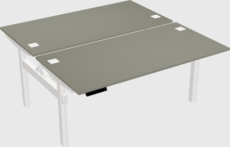 Shared electric desk