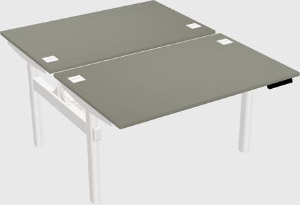 Shared electric desk