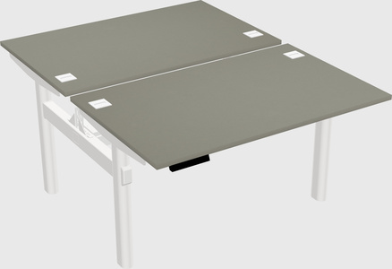 Shared electric desk