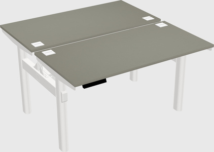Shared electric desk
