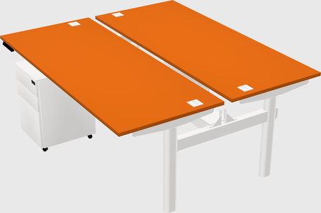 Shared electric desk