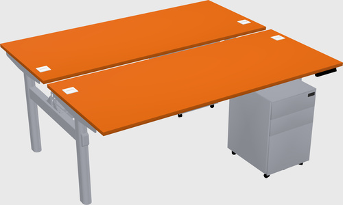 Shared electric desk