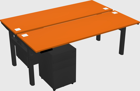 Shared electric desk