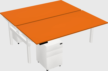Shared electric desk