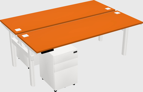 Shared electric desk