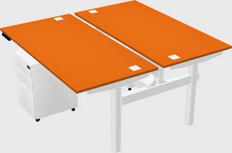 Shared electric desk