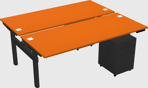 Shared electric desk