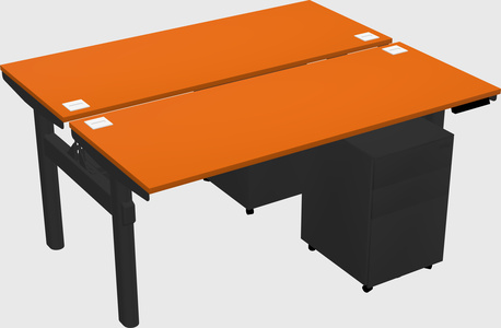 Shared electric desk