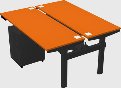 Shared electric desk