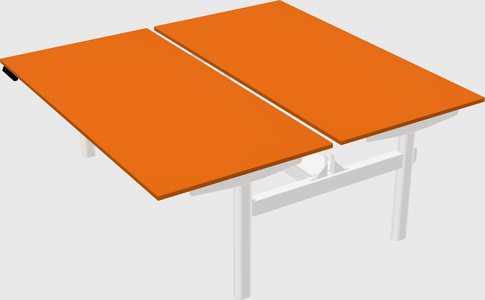 Shared electric desk