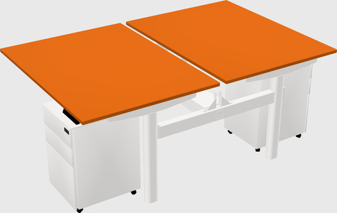 Shared electric desk