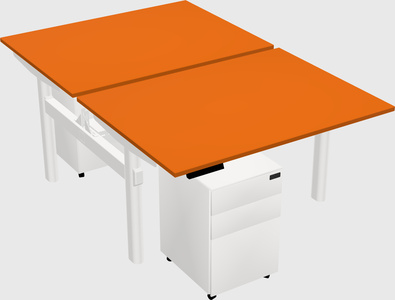 Shared electric desk