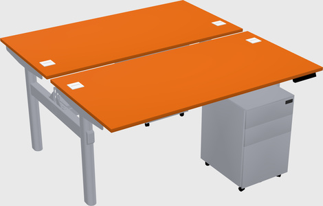 Shared electric desk