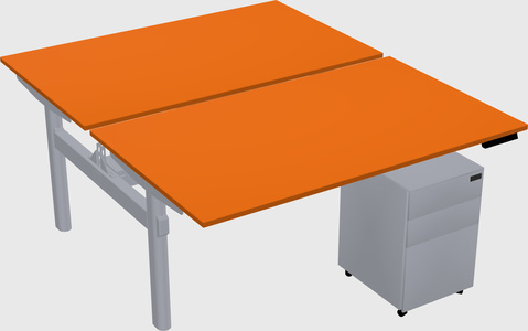 Shared electric desk