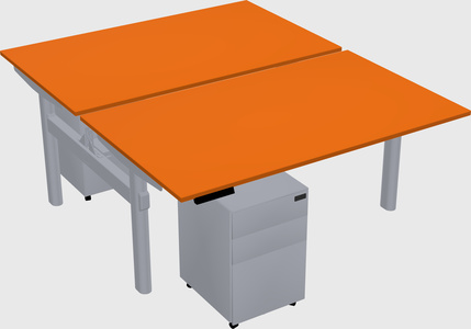 Shared electric desk