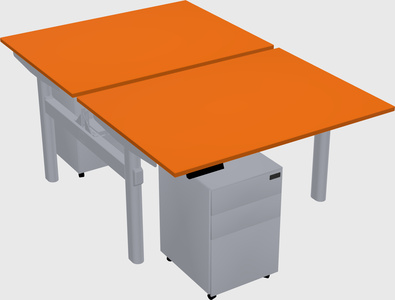 Shared electric desk