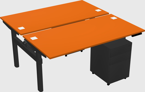 Shared electric desk