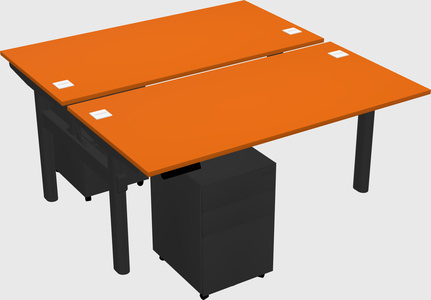 Shared electric desk