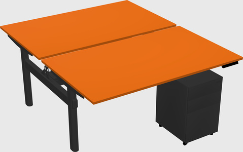 Shared electric desk
