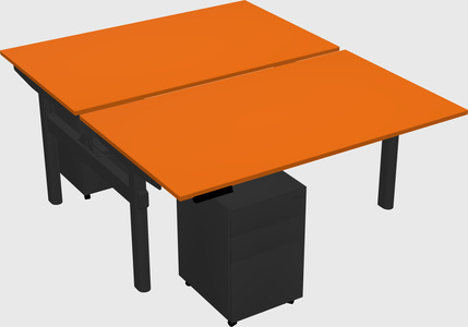 Shared electric desk