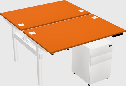Shared Electric Desk