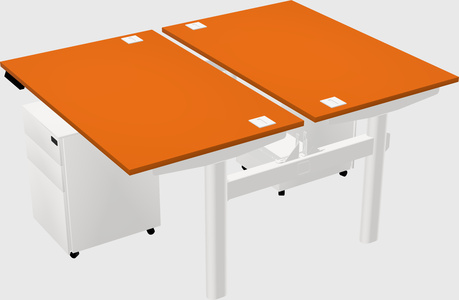 Shared electric desk