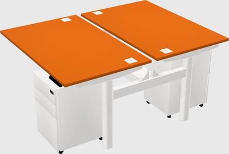 Shared electric desk