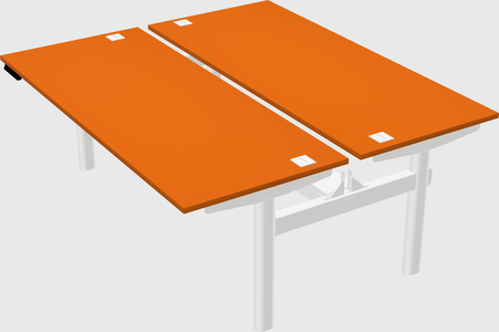 Shared electric desk